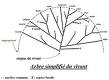 Formation Arbre des causes