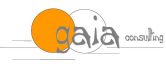 Gaia Consulting